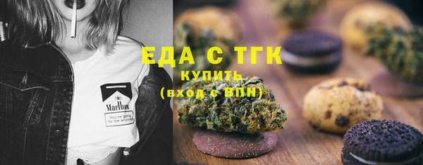 ГАЛЛЮЦИНОГЕННЫЕ ГРИБЫ Инта