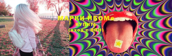 ГАЛЛЮЦИНОГЕННЫЕ ГРИБЫ Инта