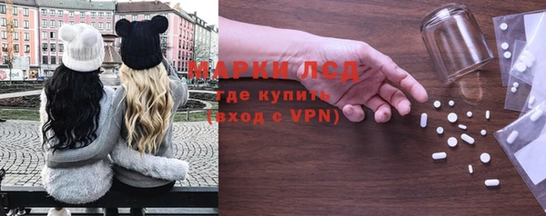 ГАЛЛЮЦИНОГЕННЫЕ ГРИБЫ Инта