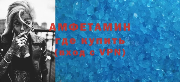 ГАЛЛЮЦИНОГЕННЫЕ ГРИБЫ Инта
