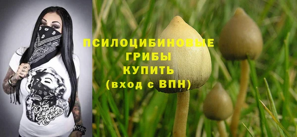 мяу мяу мука Александровское