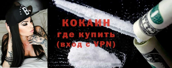 ГАЛЛЮЦИНОГЕННЫЕ ГРИБЫ Инта