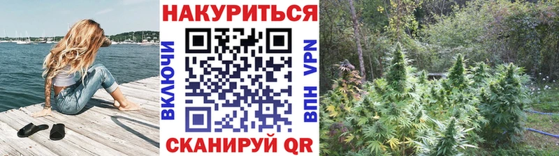 Бошки Шишки индика Разумное
